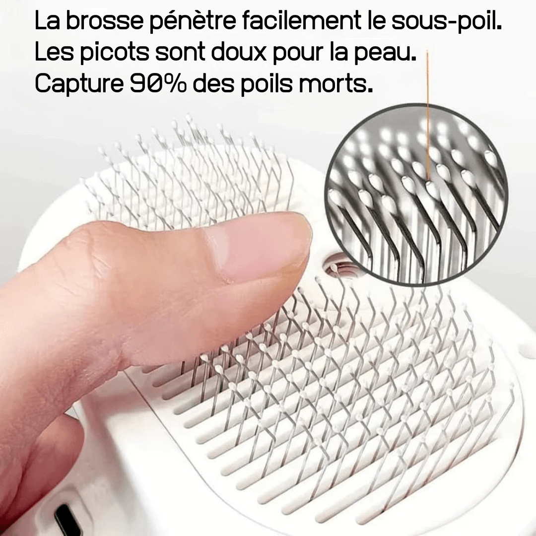 Brosse SPA™-